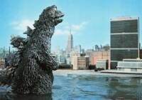 Replacing Police: Private Violence Interruption Firm Hires Godzilla