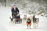 The Jerry Duncan Show Interviews an Alaskan Sled Dog Musher