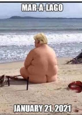 fat trump on beach