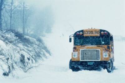 School Bus