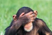Last Night I Dreamt I Went Out Naked!