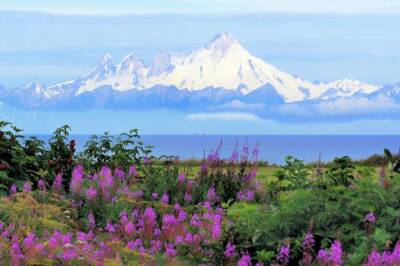 Alaskan wildlife biologist