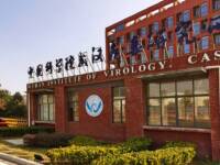 Wuhan Institute Under Investigation for Causing a Litany of Worldwide Disasters