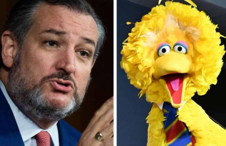 Ted Cruz vs Big Bird