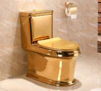 White House Toilet Deposed by January 6 Committee
