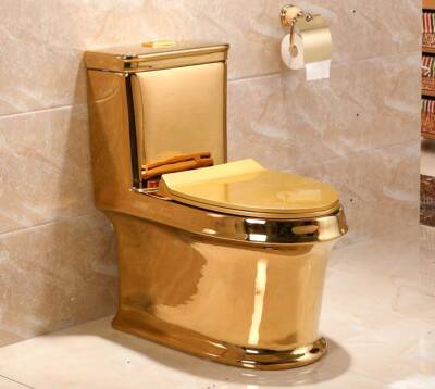 white house toilet