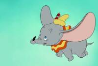 The Jerry Duncan Show Interviews Dumbo the Elephant