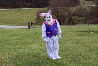 Easter Bunny jailed - by daveynin
