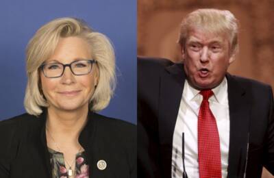 Cheney grills Trump
