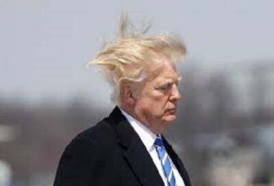 Trump hair piece