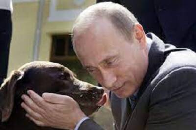 Putin pet