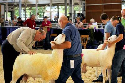 Iowa State Fair, GOP candidates campaign