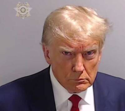 get indicted, Donald Trump mug shot