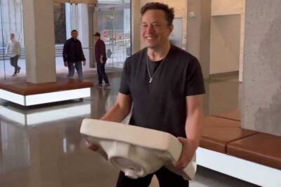 elon musk reinstates banned users, carries sink.