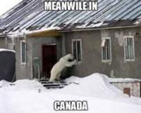 Canadians Give Cold Shoulder to ‘Americanization’ & Get the Last Laugh!