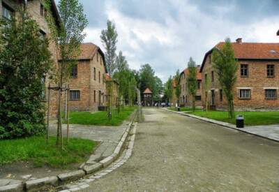 AfD Auschwitz