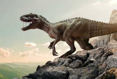 transatlantic flight t-rex