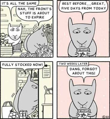 What's Up Gray cartoon