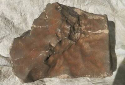 News from Trump World -- Mars Rock