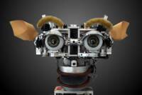 xAI chatbox Grok robot