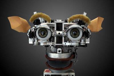 xAI chatbox Grok robot